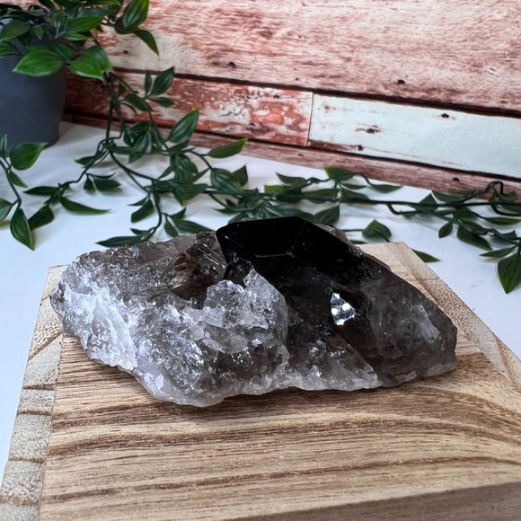 Smoky Quartz Crystal Points Cluster - Smoky Quartz Point Crystal Cluster - Picture 8 of 11